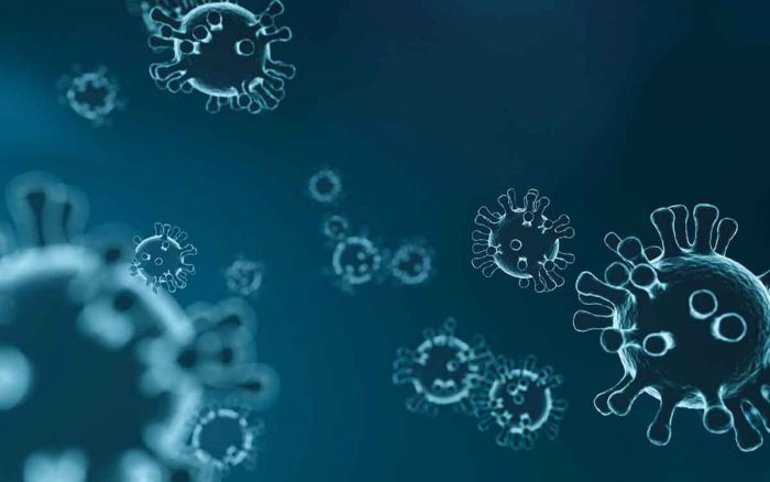 Pemerintah Minta Masyarakat Tak Khawatir soal Virus HMPV Pemerintah Minta Masyarakat Tak Khawatir soal Virus HMPV