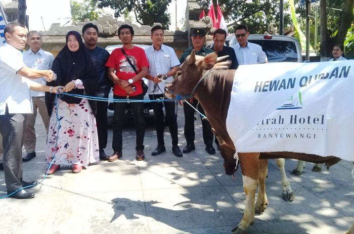 Peduli Warga Sekitar, Mirah Hotel Banyuwangi Sumbang 2 Sapi ke KPS