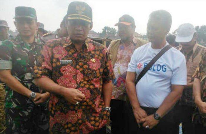 Panen Raya di Tulungagung, Bupati Minta Bulog Turun Langsung ke Petani Panen Raya di Tulungagung, Bupati Minta Bulog Turun Langsung ke Petani