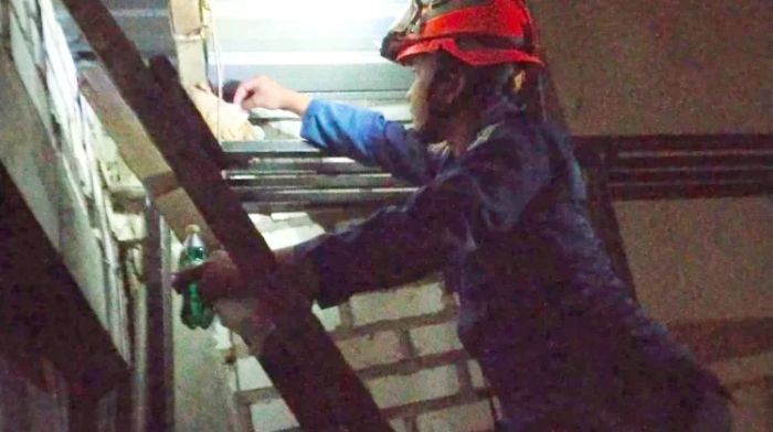 Serangan Tawon Vespa Affinis Melonjak di Tuban, Damkar  Tangani 240 Kasus hingga April