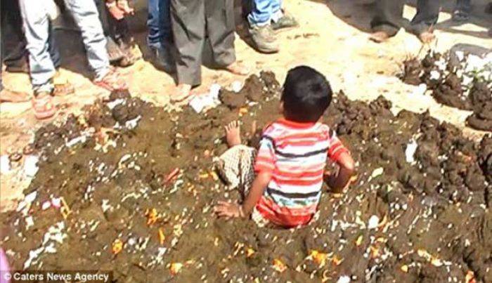 Tradisi Unik agar Anak Kebal Penyakit, Anak digulingkan di Kotoran Sapi Tradisi Unik agar Anak Kebal Penyakit, Anak digulingkan di Kotoran Sapi
