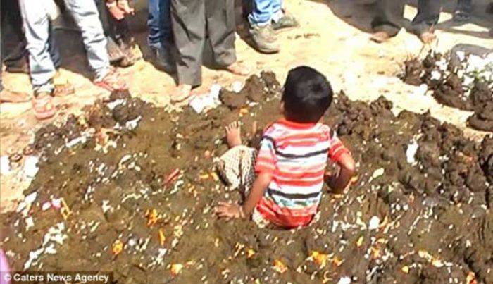 Tradisi Unik agar Anak Kebal Penyakit, Anak digulingkan di Kotoran Sapi