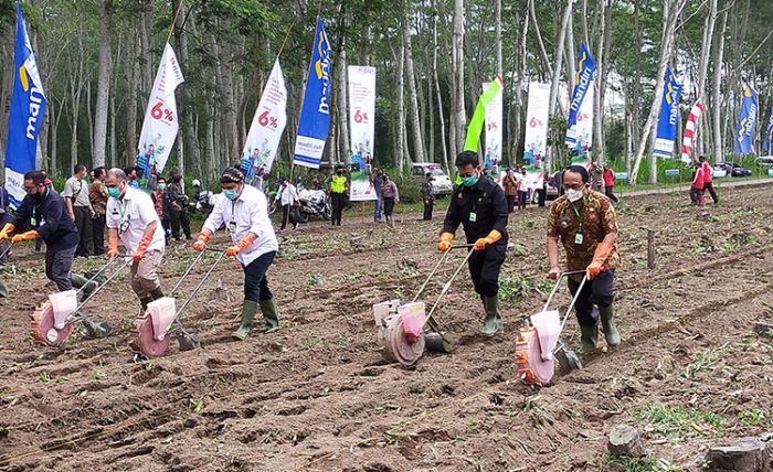Kunjungi Blitar, Mentan Sebut Ketersediaan Pangan RI Cukup Hingga Akhir Tahun