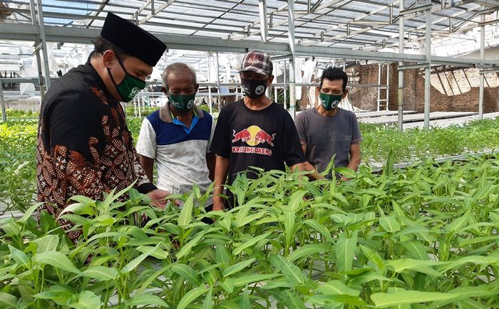 Dorong Pertanian Hidroponik, BHS Targetkan RTH Sidoarjo di atas 30 Persen