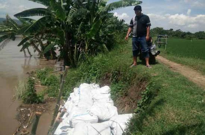 Hujan Deras, Bojonegoro Waspada Banjir Bandang dan Longsor 