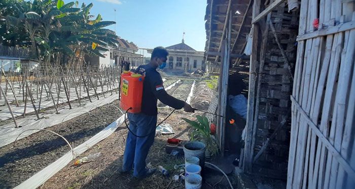 Antisipasi Virus PMK, FRPB Pamekasan Semprotkan Disinfektan ke Kandang Peternak Sapi di Wilayahnya Antisipasi Virus PMK, FRPB Pamekasan Semprotkan Disinfektan ke Kandang Peternak Sapi di Wilayahnya