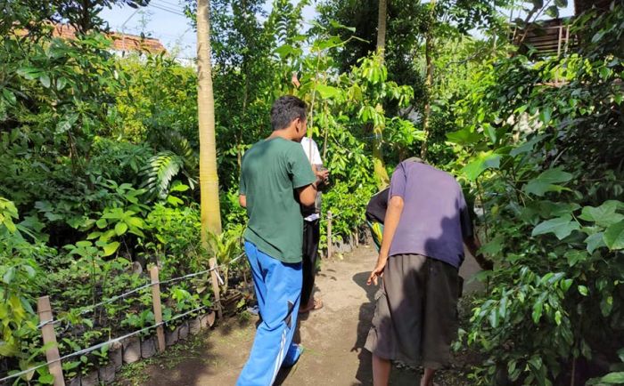 Peringati Hari Bumi, Anggota Mapala di Kediri Tanam Pohon di Halaman Rumah Masing-masing