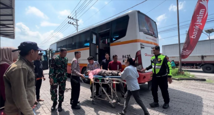 Penuh Sesak oleh Penumpang, Seorang Pemudik Bus Harapan Jaya Pingsan di Mojokerto