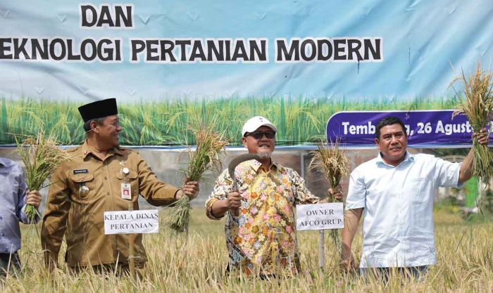 Program Bapak Asuh Dorong Pertanian Organik dan Efisiensi Produksi di Jombang Program Bapak Asuh Dorong Pertanian Organik dan Efisiensi Produksi di Jombang