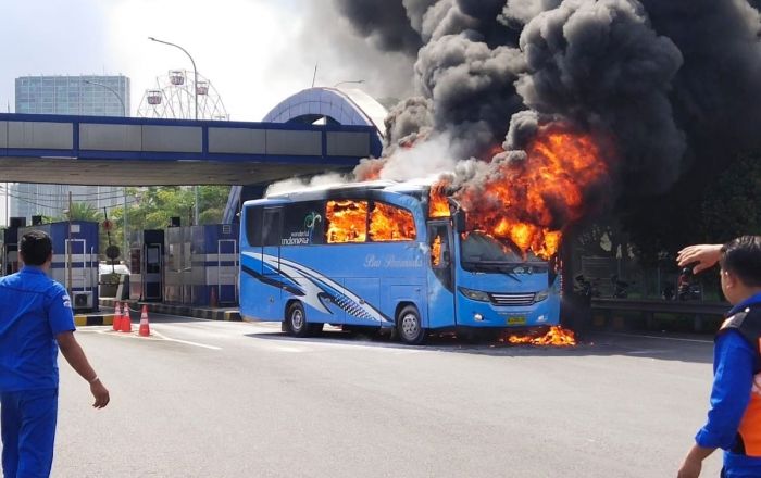 Bus Pariwisata Rombongan Mahasiswa Mataram Terbakar di Pintu Tol Menanggal Bus Pariwisata Rombongan Mahasiswa Mataram Terbakar di Pintu Tol Menanggal