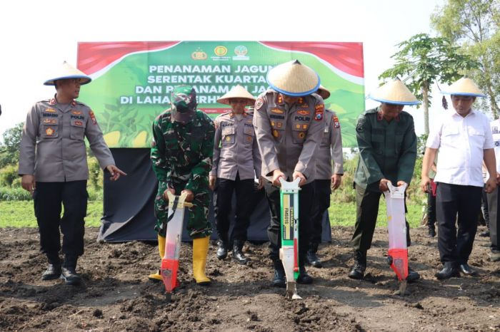 Dukung Progam Ketahanan Pangan, Kapolres Mojokerto Kota Tanam Jagung Serentak di Lahan Seluas 1 Ha Dukung Progam Ketahanan Pangan, Kapolres Mojokerto Kota Tanam Jagung Serentak di Lahan Seluas 1 Ha
