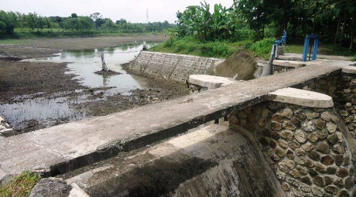 Sejumlah Waduk di Bojonegoro Rusak Parah Sejumlah Waduk di Bojonegoro Rusak Parah