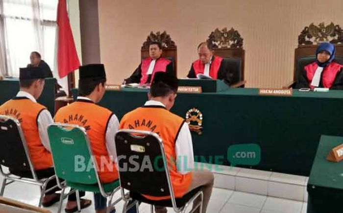 Terbukti Mencuri, Tiga Pelaku di bawah Umur hanya Diberikan Peringatan Terbukti Mencuri, Tiga Pelaku di bawah Umur hanya Diberikan Peringatan