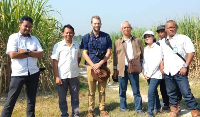 Tebu Varietas Tahan Kering Karya Peneliti Unej Diminati Produsen Gula Negara Afrika Selatan Tebu Varietas Tahan Kering Karya Peneliti Unej Diminati Produsen Gula Negara Afrika Selatan