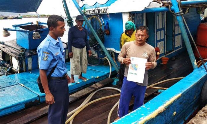 Marak Perburuan Benur di Tamperan Pacitan, Nelayan Lokal Ancam Gelar Aksi Demo