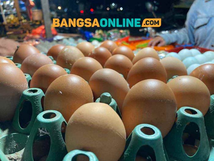 Update Harga Sembako Jatim 3 September 2025, Telur Ayam Kampung Mulai Stabil Update Harga Sembako Jatim 3 September 2025, Telur Ayam Kampung Mulai Stabil