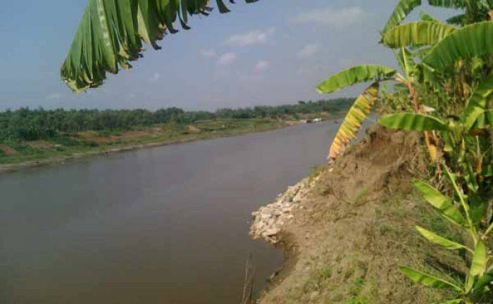 Tanggul Bengawan Solo Kritis, Warga Kanor Bojonegoro Terancam Kebanjiran Tanggul Bengawan Solo Kritis, Warga Kanor Bojonegoro Terancam Kebanjiran