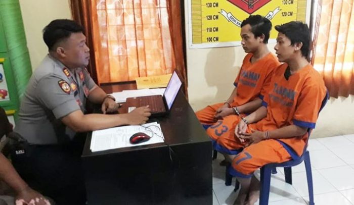 Mabuk, Dua Warga Krian Sidoarjo Curi Kucing Harga Jutaan, Kemudian Dijual Rp 100 Ribu Mabuk, Dua Warga Krian Sidoarjo Curi Kucing Harga Jutaan, Kemudian Dijual Rp 100 Ribu