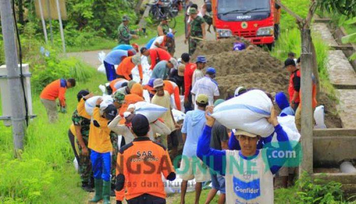 BPBD Bojonegoro Perbaiki Sementara Tanggul Bengawan Solo yang Kritis