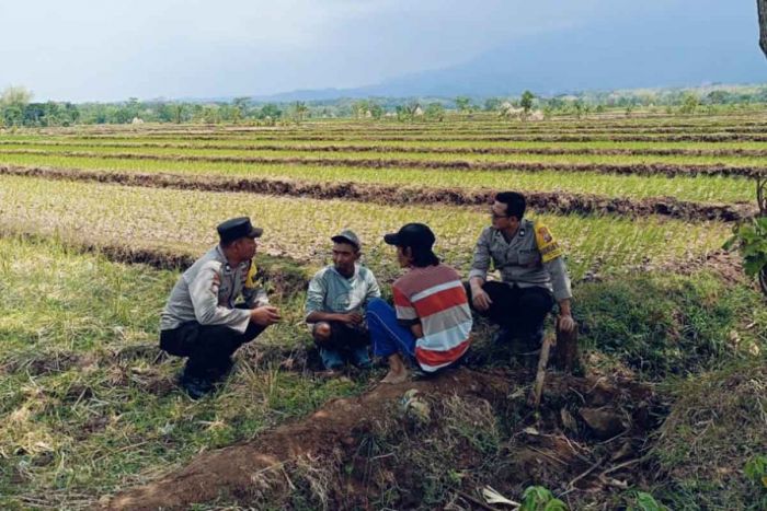 Anggota Polsek Jogorogo Cangkrung Bareng Para Petani Dengarkan Aspirasi Warga Anggota Polsek Jogorogo Cangkrung Bareng Para Petani Dengarkan Aspirasi Warga