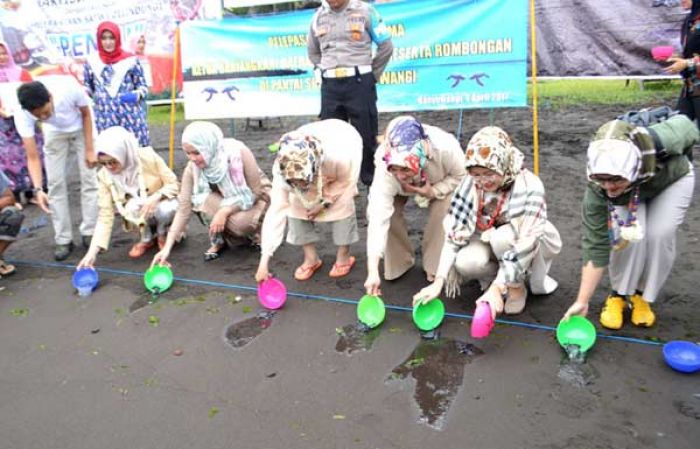 Ke Pantai Solong Banyuwangi, Bhayangkari Jawa Timur Lepas Tukik