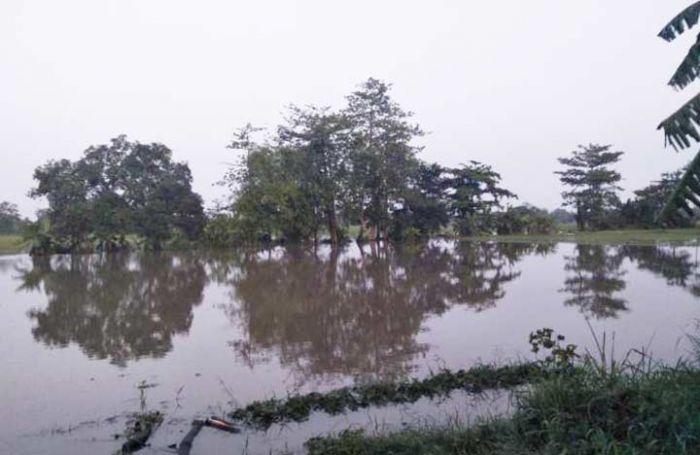 Dua Desa Berdekatan Tol Teredam Banjir 1,5 Meter