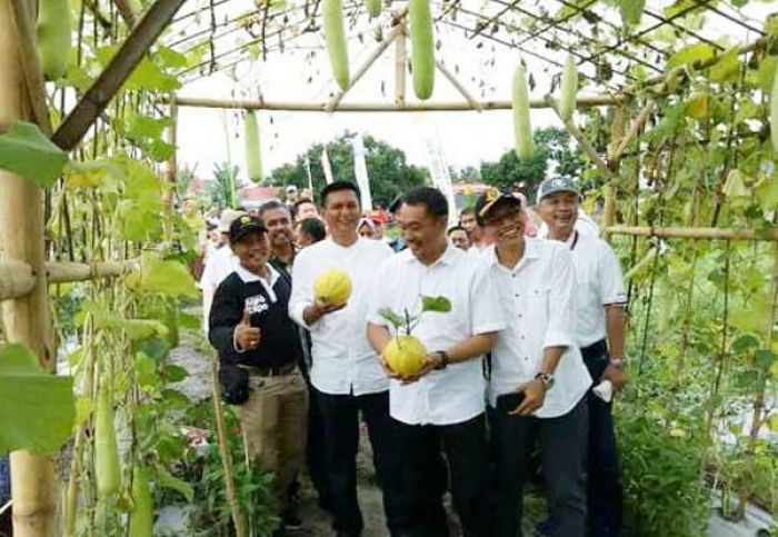 Festival Agro Pemkab Banyuwangi, Sulap Sawah 9 Hektar jadi Etalase Produk Pertanian Terluas