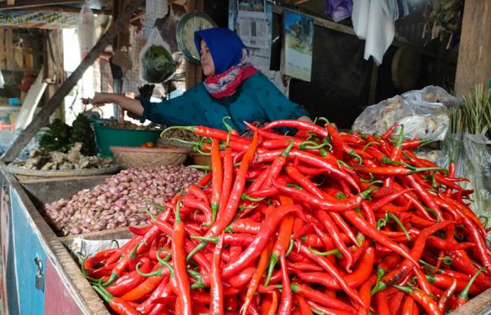 Harga Cabai di Pasar Tradisional Sumenep Mulai Merangkak Naik Harga Cabai di Pasar Tradisional Sumenep Mulai Merangkak Naik