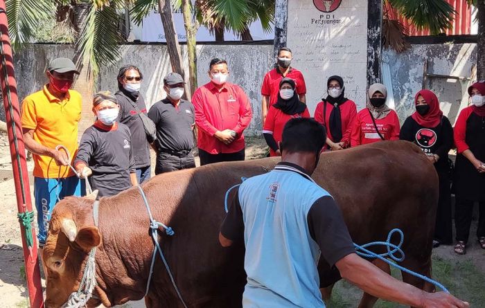 Kurban Satu Ekor Sapi, DPC PDIP Kabupaten Kediri Bagikan Daging Kurban Secara Door to Door Kurban Satu Ekor Sapi, DPC PDIP Kabupaten Kediri Bagikan Daging Kurban Secara Door to Door