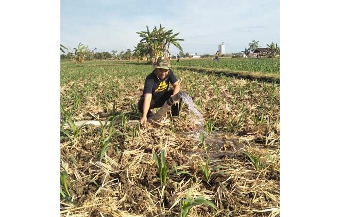Menangkan Khofifah-Emil, RGS Tuban Galang Dukungan Petani, Petambak, dan Buruh Menangkan Khofifah-Emil, RGS Tuban Galang Dukungan Petani, Petambak, dan Buruh