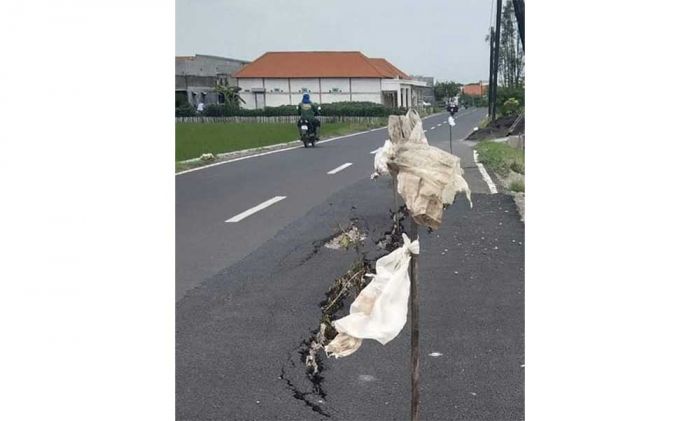 LPB Sorot Jalan Penghubung Desa Banjarsari-Kedanyang, Baru Diaspal Sudah Retak LPB Sorot Jalan Penghubung Desa Banjarsari-Kedanyang, Baru Diaspal Sudah Retak