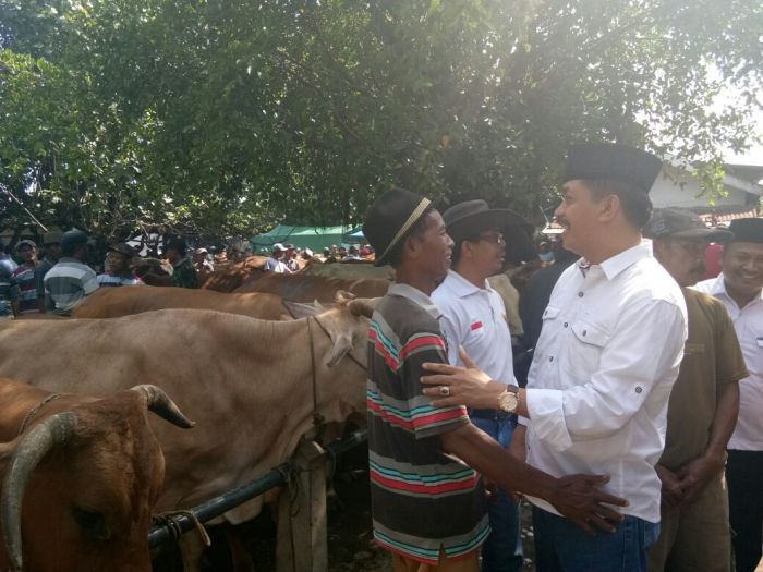 Gus Syaf Lanjutkan Blusukan ke Pasar Sapi Kabuh Gus Syaf Lanjutkan Blusukan ke Pasar Sapi Kabuh