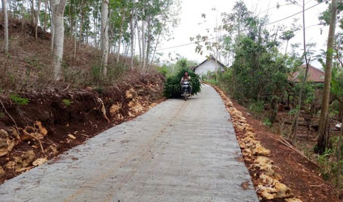 Jalan Sudah Halus, Warga Kedungsalam Bawa Rumput Tanpa Hambatan Jalan Sudah Halus, Warga Kedungsalam Bawa Rumput Tanpa Hambatan