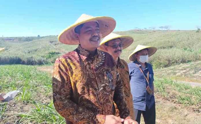Kemenperin Dorong Blitar Terus Tingkatkan Produksi Gula Kemenperin Dorong Blitar Terus Tingkatkan Produksi Gula