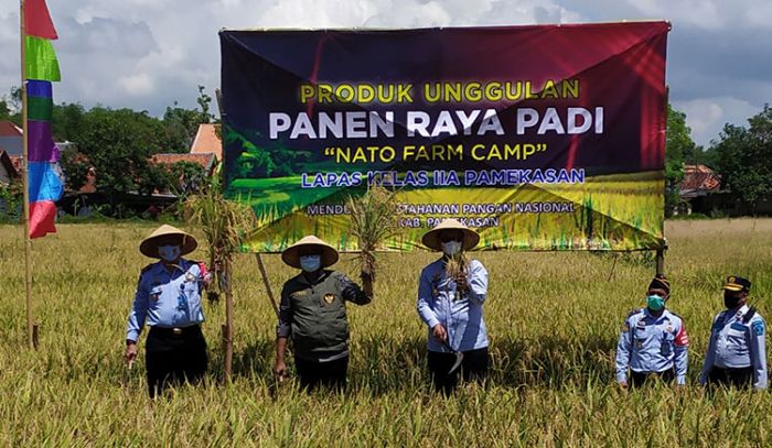 Dukung Ketahanan Pangan Nasional, Lapas Kelas IIA Pamekasan Gelar Panen Raya Padi