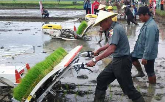 Petani Tenggalek Dimanjakan dengan mesin Rice Transplanter Petani Tenggalek Dimanjakan dengan mesin Rice Transplanter
