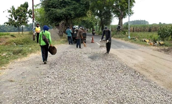 Reaksi Cepat Dinas PUPR Jombang Lakukan Pemeliharaan Jalan dan Jembatan Reaksi Cepat Dinas PUPR Jombang Lakukan Pemeliharaan Jalan dan Jembatan
