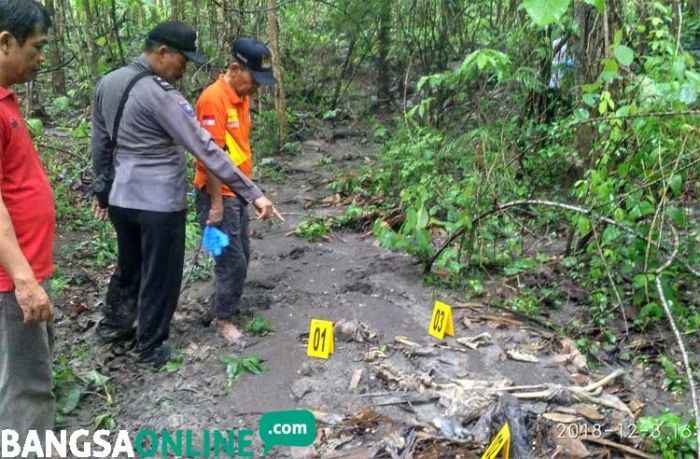 Seram, Tengkorak dan Kerangka Manusia Ditemukan di Hutan Temayang Bojonegoro