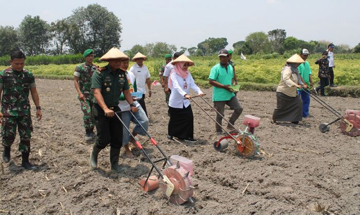 Sinergi Wujudkan Ketahanan Pangan Nasional yang Kokoh Sinergi Wujudkan Ketahanan Pangan Nasional yang Kokoh