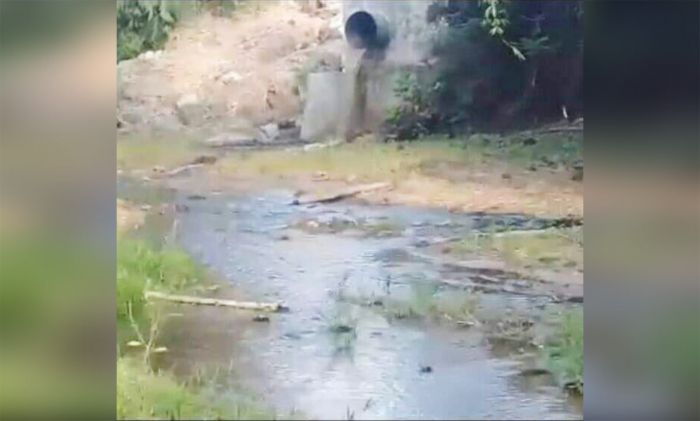 Viral di Medsos, Limbah Diduga Milik Pabrik Gula RMI Cemari Sungai Viral di Medsos, Limbah Diduga Milik Pabrik Gula RMI Cemari Sungai