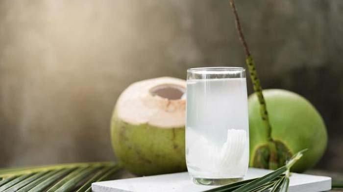 Manfaat Air Kelapa Muda untuk Menjaga Kesehatan Rambut Manfaat Air Kelapa Muda untuk Menjaga Kesehatan Rambut
