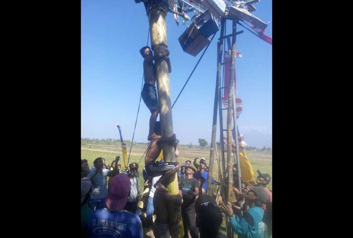 Berebut Sepeda dan TV, Warga Kajartengguli Prambon Ramai-Ramai Panjat Pohon Pisang Berebut Sepeda dan TV, Warga Kajartengguli Prambon Ramai-Ramai Panjat Pohon Pisang