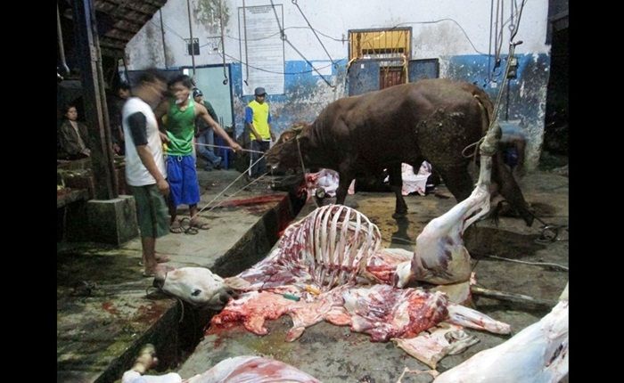 Maksimalkan Pemotongan, Pemkab Pasuruan Siap Benahi Tujuh RPH