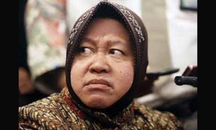 Risma Harus Mundur Jika Nyalon dalam Pilkada Jakarta Risma Harus Mundur Jika Nyalon dalam Pilkada Jakarta