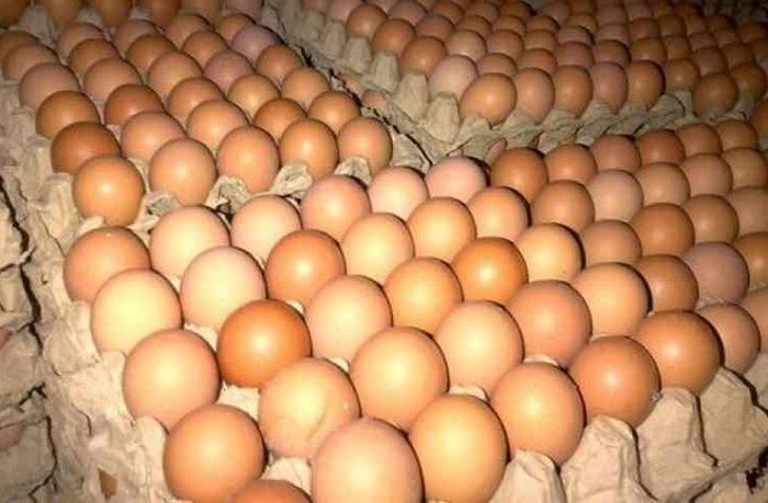Harga Telur Ayam di Pacitan Mulai Turun