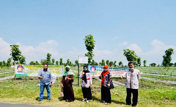 ​Libatkan Petani Lokal, TPPI Tuban Kembangkan 1.100 Budidaya Jeruk Lemon
