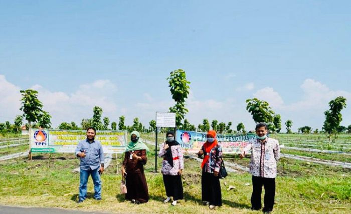Libatkan Petani Lokal, TPPI Tuban Kembangkan 1.100 Budidaya Jeruk Lemon Libatkan Petani Lokal, TPPI Tuban Kembangkan 1.100 Budidaya Jeruk Lemon