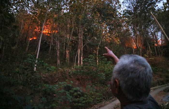 Berawal Bakar Sampah, Lahan Hutan di Desa Tanjungsari Pacitan Ludes Dilalap Api