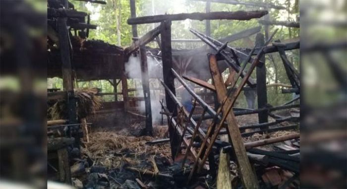 Satu Kandang Sapi di Punung Pacitan Ludes Dilalap Api Satu Kandang Sapi di Punung Pacitan Ludes Dilalap Api