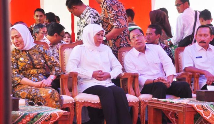 965 Warga Miskin di Lima Kabupaten Ini dapat Aliran Listrik Gratis